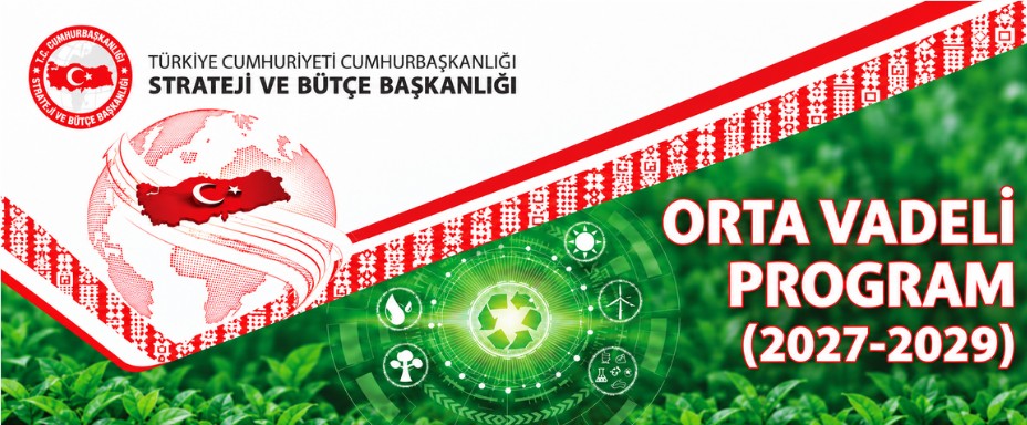 OVP’de fintech gündemi: Dijital Türk Lirası, hizmet ihracatı ve Türk dünyasıyla iş birliği